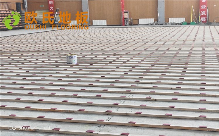 西寧市世紀(jì)職業(yè)技術(shù)學(xué)?；@球訓(xùn)練館木地板圖片