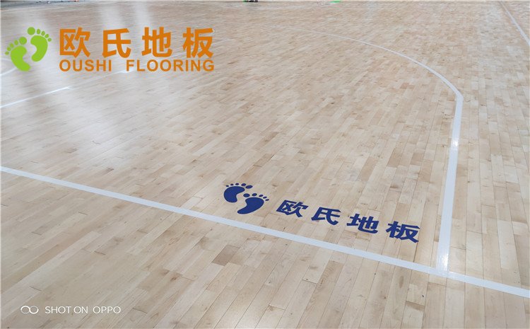 西寧市世紀(jì)職業(yè)技術(shù)學(xué)?；@球訓(xùn)練館木地板圖片